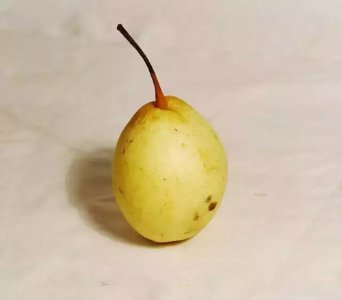 ɫoˮ11.jpg