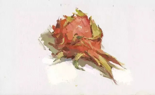 ɫoˮ25.jpg