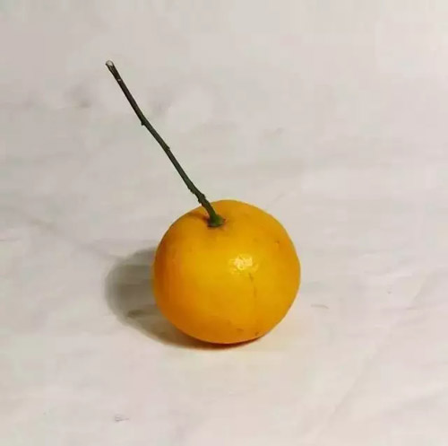 ɫoˮ6.jpg