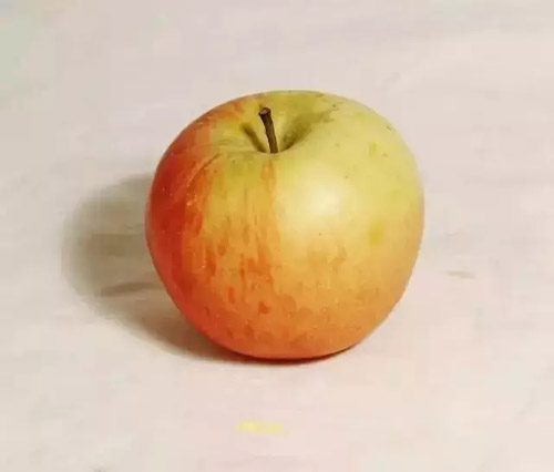 ɫoˮ1.jpg