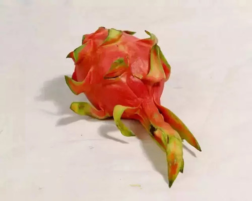 ɫoˮ21.jpg