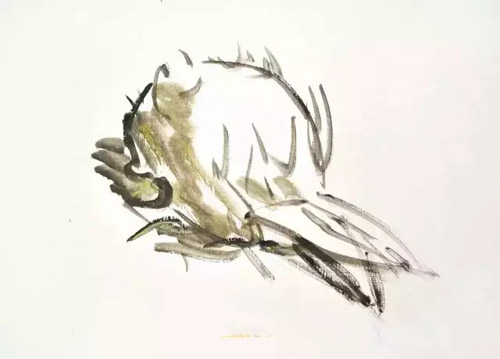 ɫoˮ22.jpg