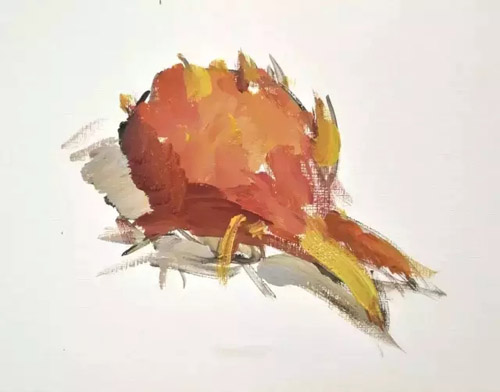 ɫoˮ23.jpg
