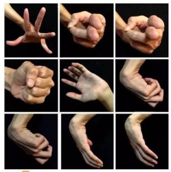 81NͬǶٌز+94Nֲ gЩղذ!