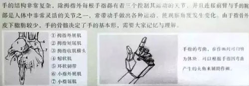 ٌ10.jpg